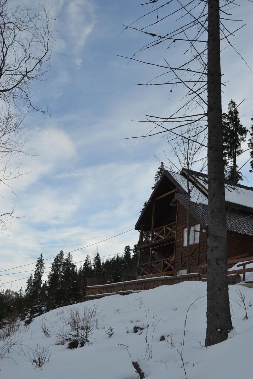 Chalet Shepit Karpat Bukovel Esterno foto